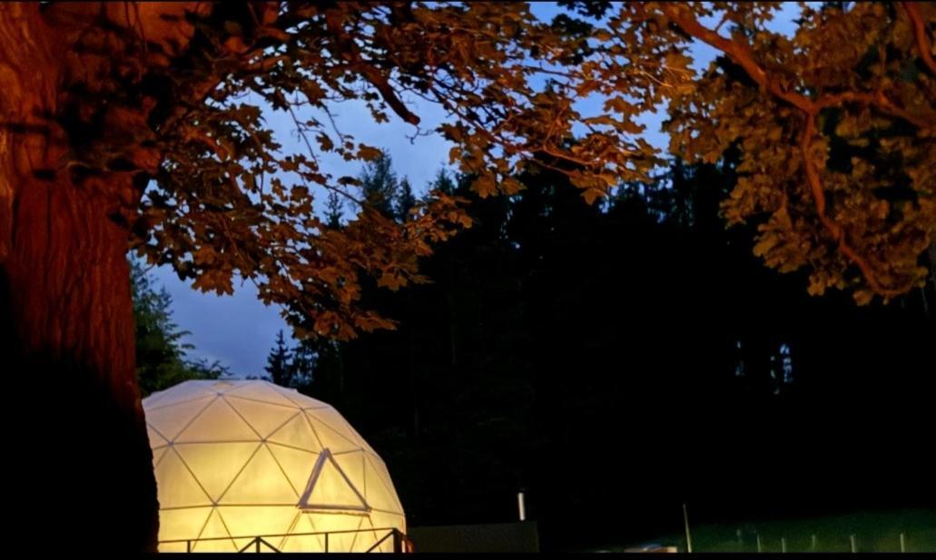 Forrest Glamp 호텔 Mieroszow 외부 사진