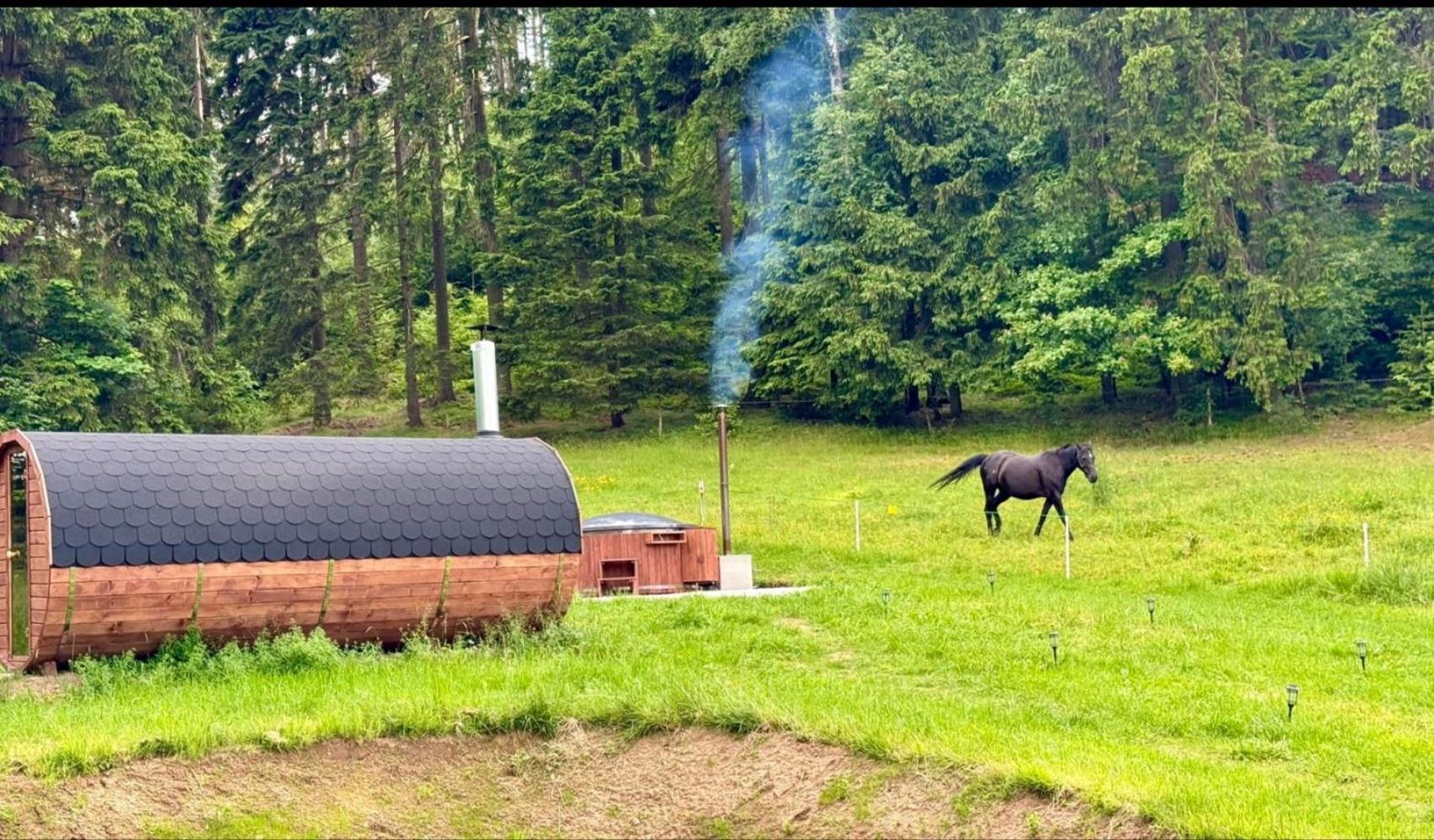 Forrest Glamp 호텔 Mieroszow 외부 사진