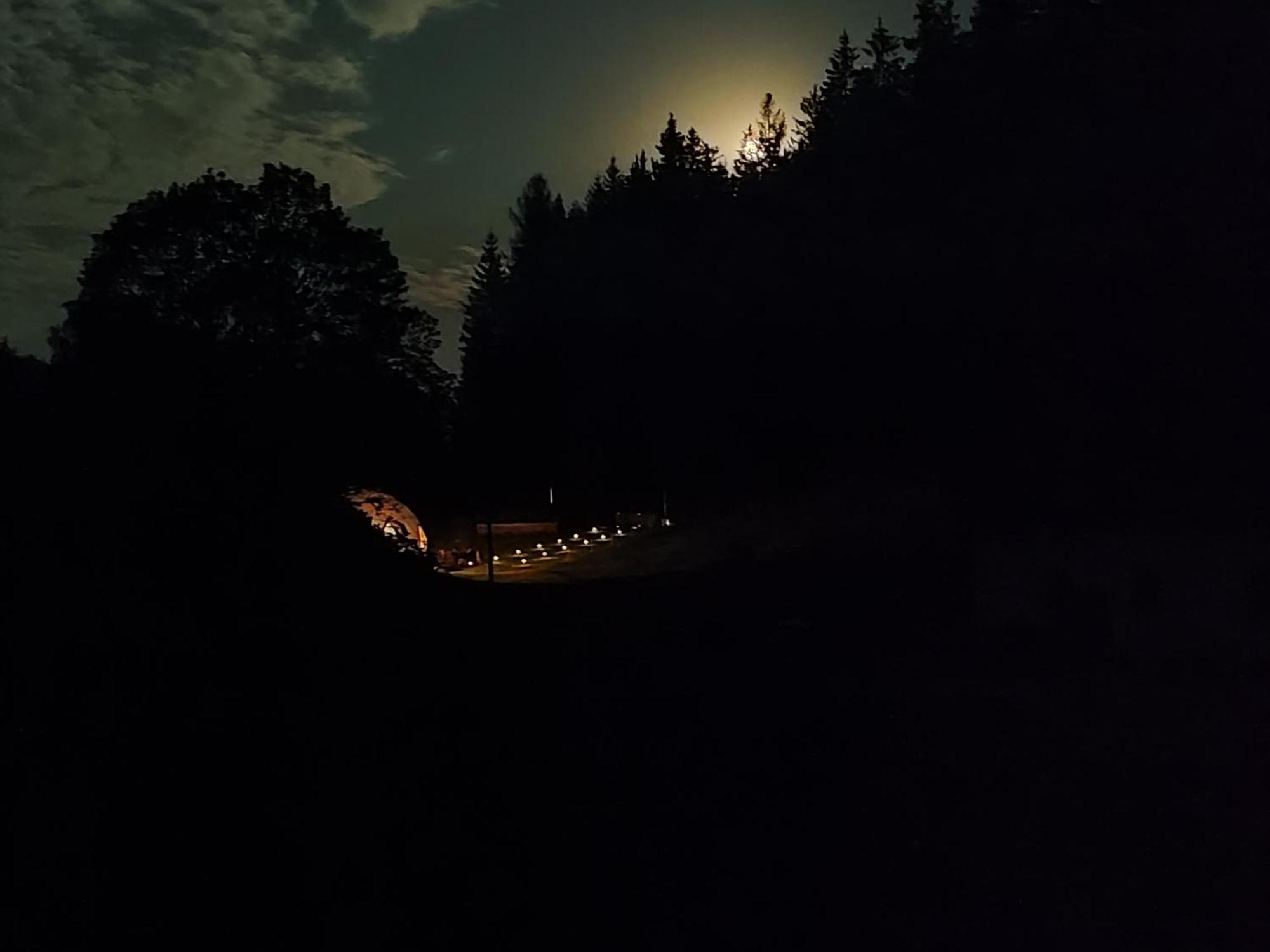 Forrest Glamp 호텔 Mieroszow 외부 사진